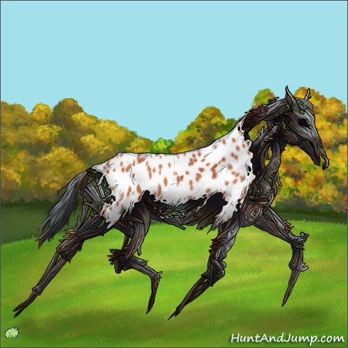 Horse Color:Bay Appaloosa 