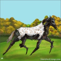 Horse Color:Chestnut Appaloosa 