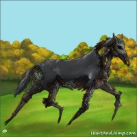 Horse Color:Black Frame 