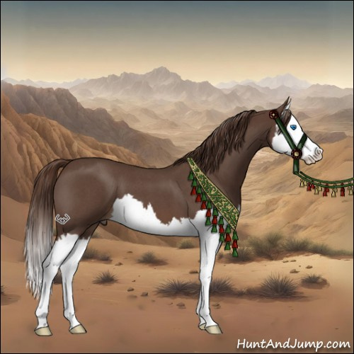 Horse Color:Liver Red Roan Splash