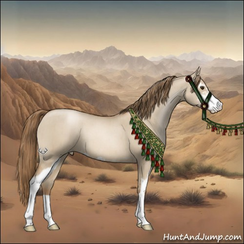 Horse Color:Grullo Pearl Sabino Brindle