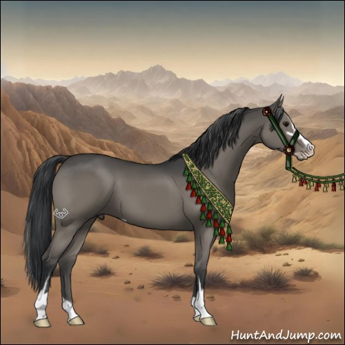 Horse Color:Grullo Sabino Brindle 