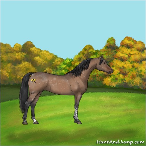 Horse Color:Brown Dun Tobiano 