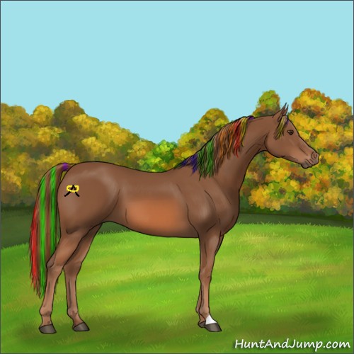 Horse Color:Painted Chestnut 
