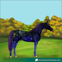 Horse Color:ERROR: UNKNOWN ANOMALY and ERROR: UNKNOWN ANOMALY