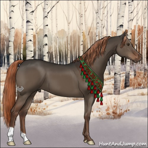 Horse Color:Liver Red Dun