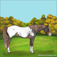 Horse Color:Liver Red Roan Splash Snowcap 