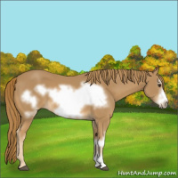 Horse Color:Chestnut Frame 