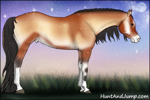 Horse Color:Bay Onyx Tobiano Appaloosa Rabicano