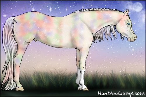 Horse Color:Nacre Silver Buckskin Pearl Rabicano 