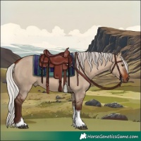 Horse Color:Silver Brown Dun Tobiano Rabicano 