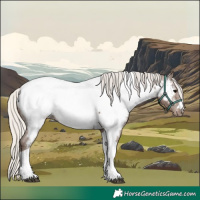 Horse Color:Silver Black Tobiano Appaloosa 