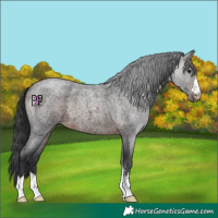 Horse Color:Bay Roan Mushroom 