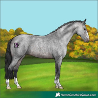 Horse Color:Bay Roan Mushroom 