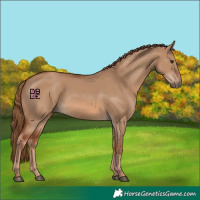 Horse Color:Red Dun