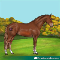 Horse Color:Chestnut 