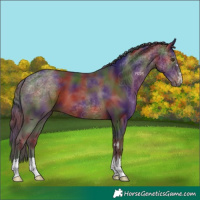 Horse Color:Nacre Liver Chestnut 
