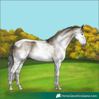 Horse Color:Gray Plaid White Spotted Bay Splash Tobiano
