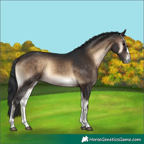 Horse Color:Brown Onyx 