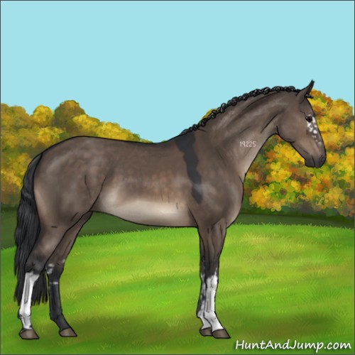 Horse Color:White Spotted Brown Dun 