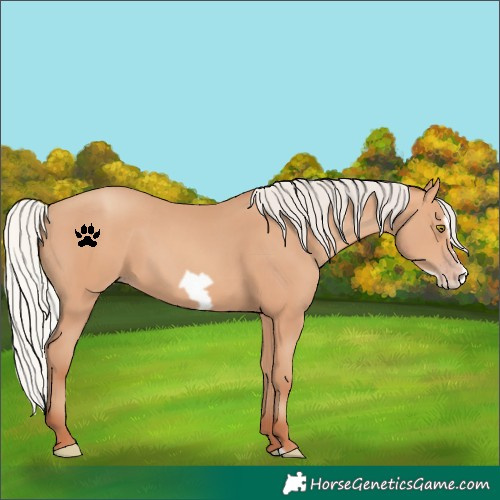 Horse Color:Silver Amber Champagne Frame