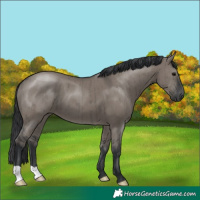 Horse Color:Grullo Brindle 
