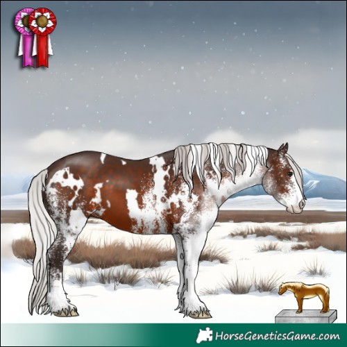Horse Color:White Spotted Silver Brown 