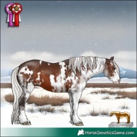 Horse Color:White Spotted Silver Brown 