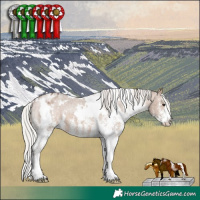 Horse Color:White Spotted Silver Brown Dun Varnish 