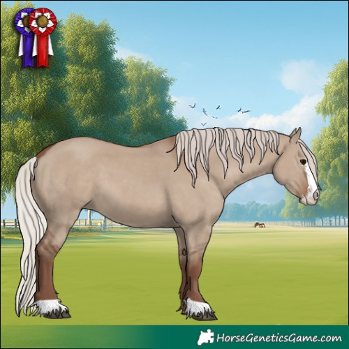 Horse Color:Silver Grullo Sabino 