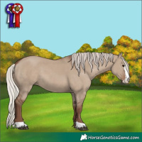 Horse Color:Silver Grullo Sabino 