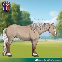 Horse Color:Silver Grullo Sabino 