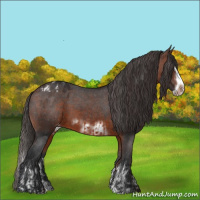 Horse Color:Bay Sabino Splash Appaloosa  and Bay Sabino Splash Frame Appaloosa 
