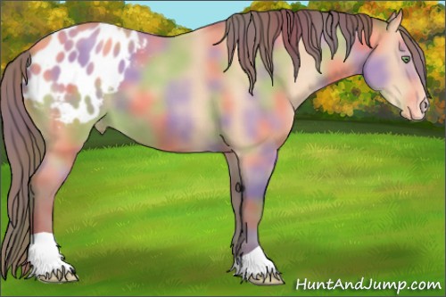 Horse Color:Nacre Amber Champagne Appaloosa 