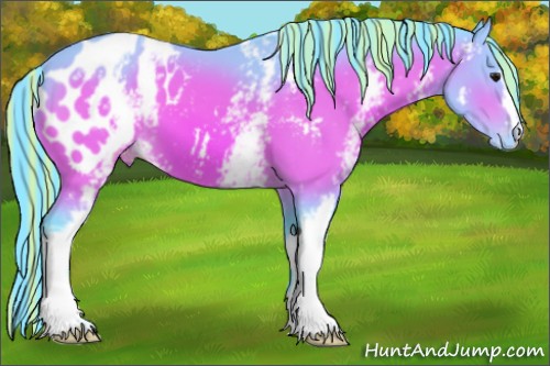 Horse Color:Painted Watercolor White Spotted Bay Appaloosa 