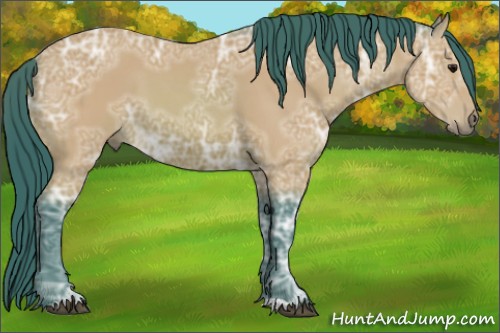 Horse Color:Watercolor Bay Ice 