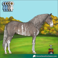 Horse Color:Silver Black Sabino 