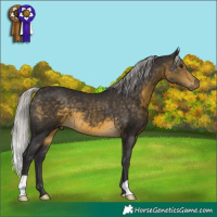 Horse Color:Silver Buckskin 
