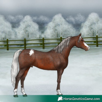 Horse Color:Silver Brown Snowcap