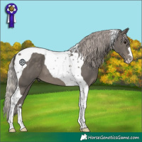 Horse Color:Silver Black Tobiano 
