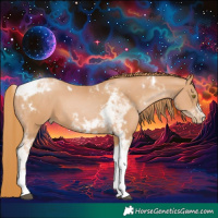 Horse Color:Chestnut Pearl Tobiano