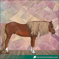 Horse Color:Chestnut Tobiano