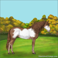 Horse Color:Chestnut Frame