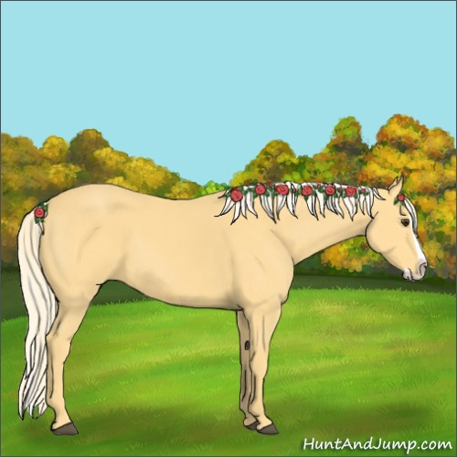 Horse Color:Palomino Splash 