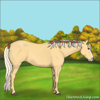 Horse Color:Palomino Splash 