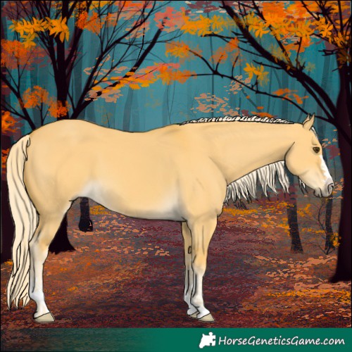 Horse Color:Palomino Dun 
