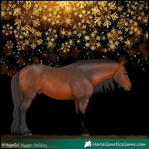 Horse Color:Void Bay Tobiano