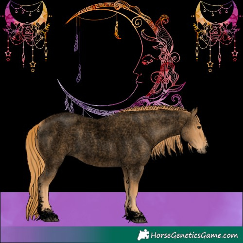 Horse Color:Void Red Roan Sabino 