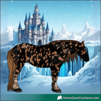 Horse Color:Void Chestnut Sabino Near Leopard 