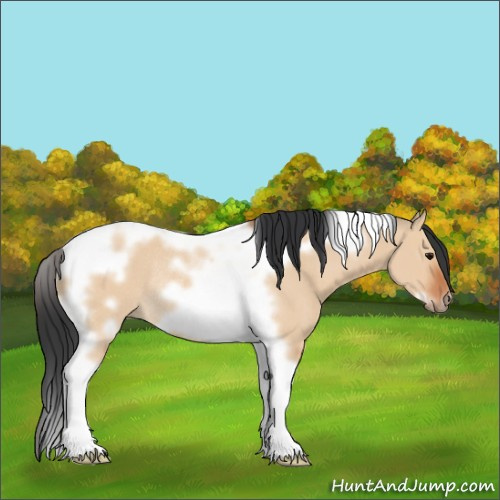 Horse Color:Bay Dun Tobiano Frame Rabicano 